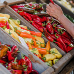 peppers, nightshade