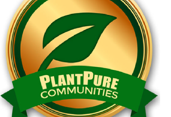 Plant Pure Communities