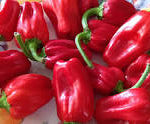 Calabrian Chili and others