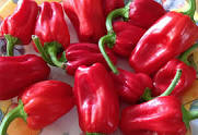 Calabrian Chili and others