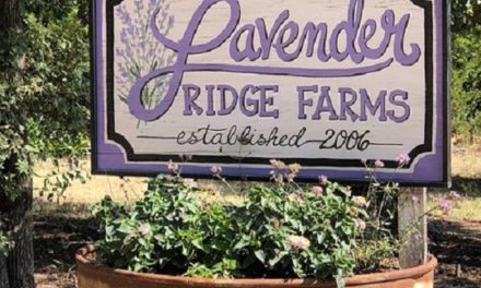 Lavender Ridge Farms in Gainesville